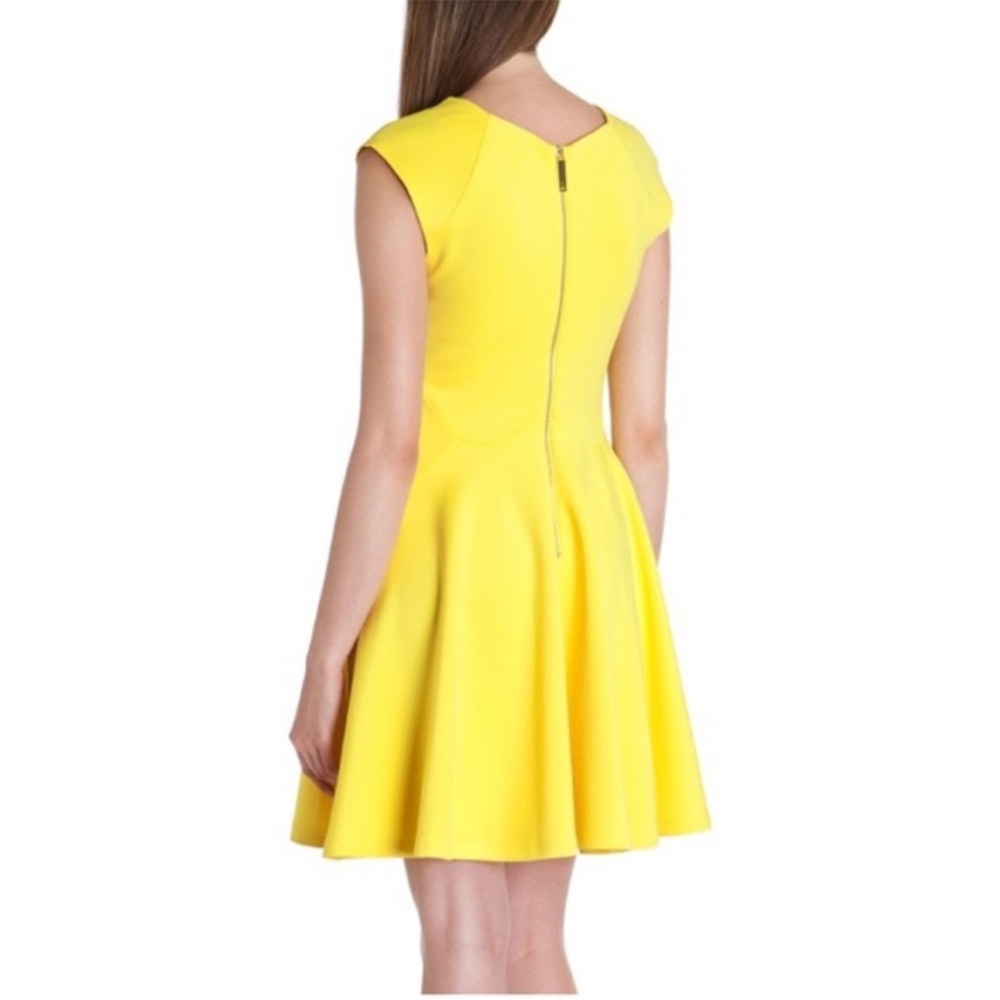 Ted Baker London Sew In Love Yellow Arwyn Panelled Sleeveless Skater‎ Dress - Picture 2 of 13